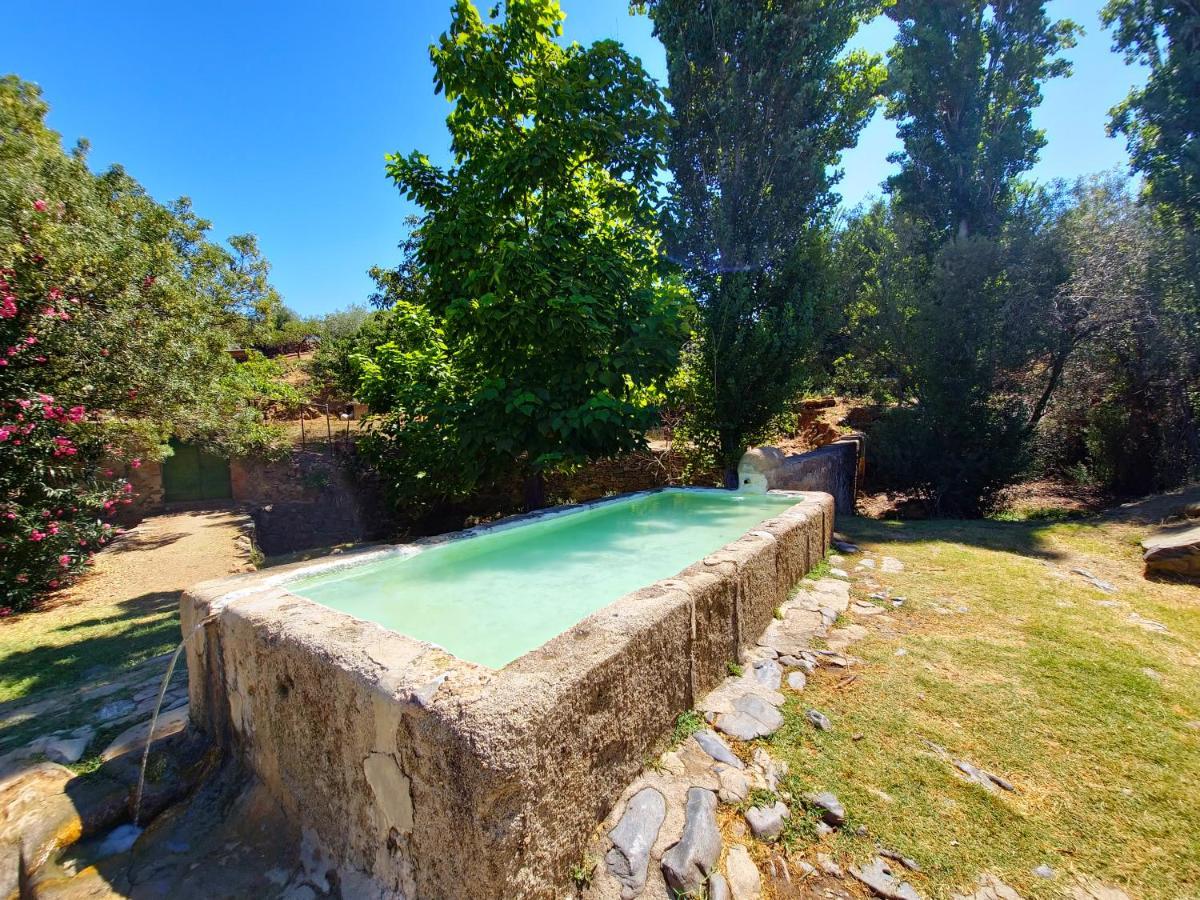 Apartamentos Rurales Tinguaton Aldeanueva de Barbarroya Εξωτερικό φωτογραφία