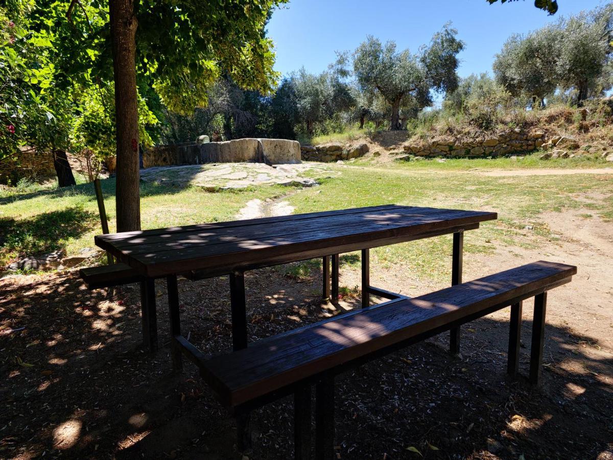 Apartamentos Rurales Tinguaton Aldeanueva de Barbarroya Εξωτερικό φωτογραφία
